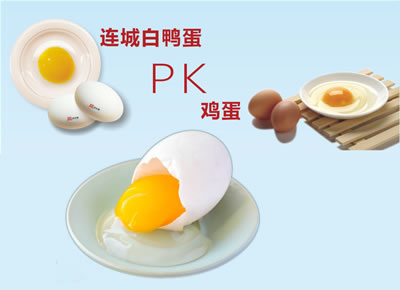连城白鸭蛋PK鸡蛋
